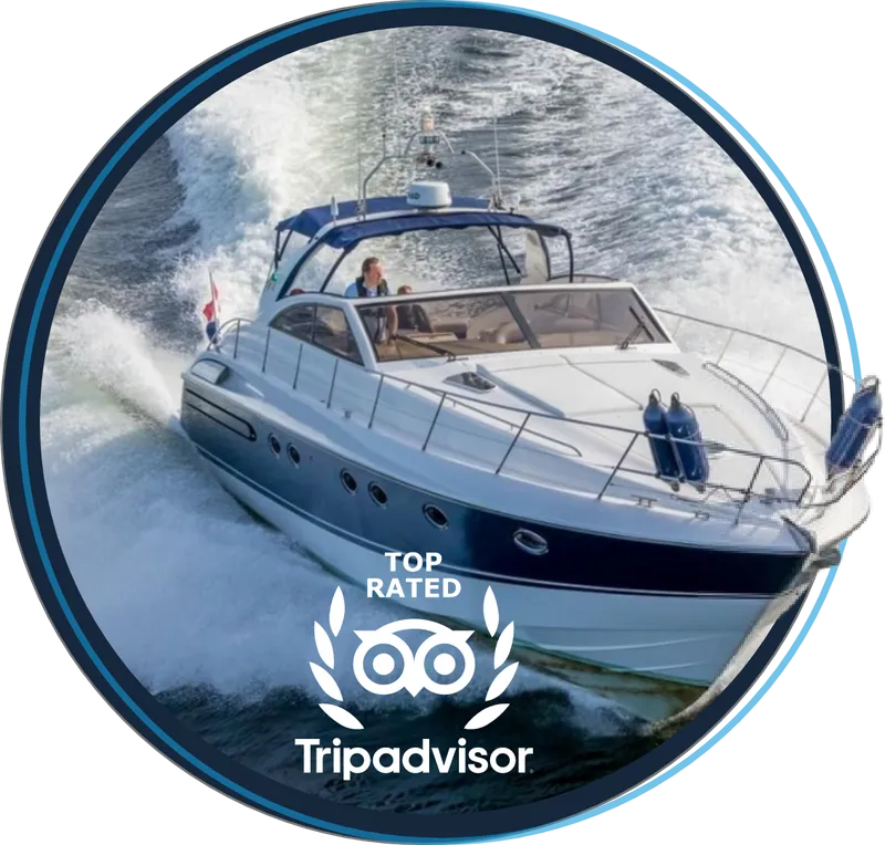 Welcome on board! Full Comfort & Flexibility